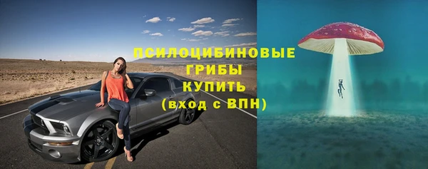 тгк Сосновка