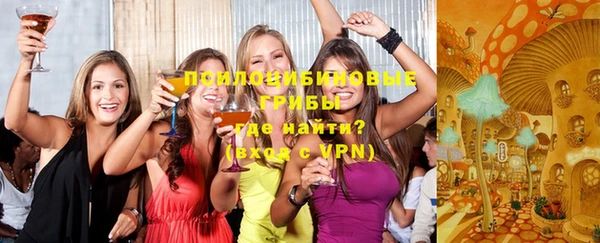 дурь Сосновый Бор