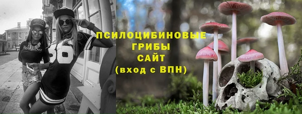тгк Сосновка