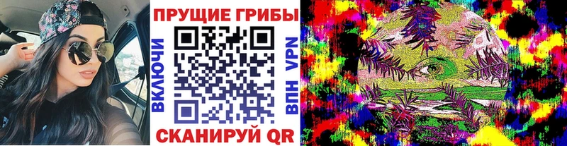 Псилоцибиновые грибы мухоморы  закладки  Тогучин 